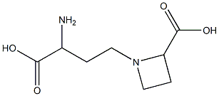 α-Amino-2-carboxy-1-azetidinebutanoic acid|