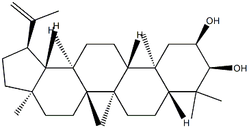 Lup-20(29)-ene-2α,3α-diol Structure