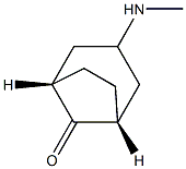 Bicyclo[3.2.1]octan-8-one, 3-(methylamino)-, (3-exo)- (9CI)|