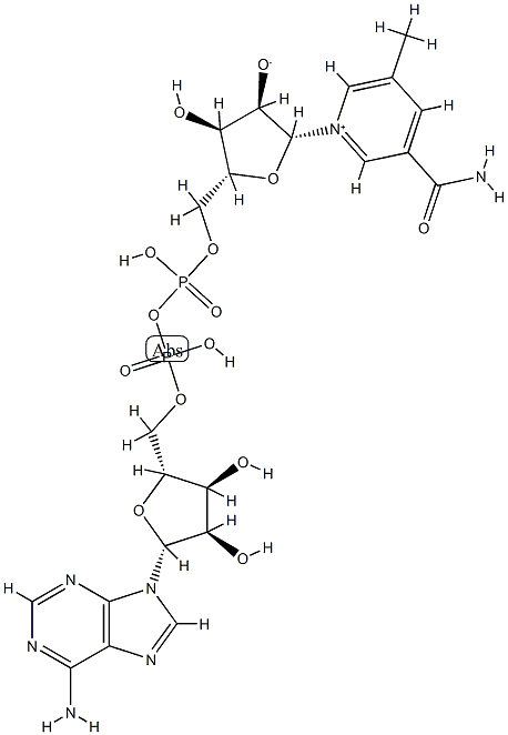 5-methylnicotinamide-adenine dinucleotide Struktur