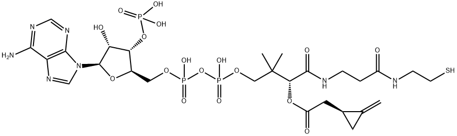 methylenecyclopropyl acetyl-CoA Struktur