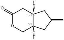 Cyclopenta[c]pyran-3(1H)-one, hexahydro-6-methylene-, (4aR,7aR)-rel- (9CI)|