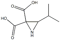 3,3-Oxaziridinedicarboxylicacid,2-(1-methylethyl)-(9CI) Structure