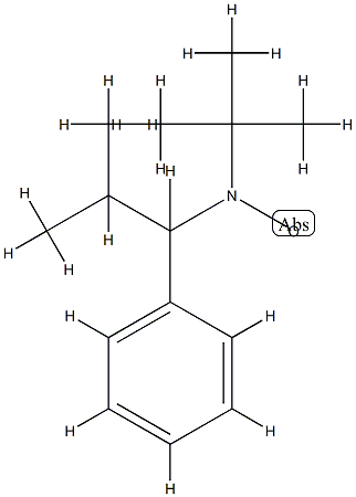 2,2,5-TriMethyl-4-phenyl-3-azahexane-3-nitroxide Struktur