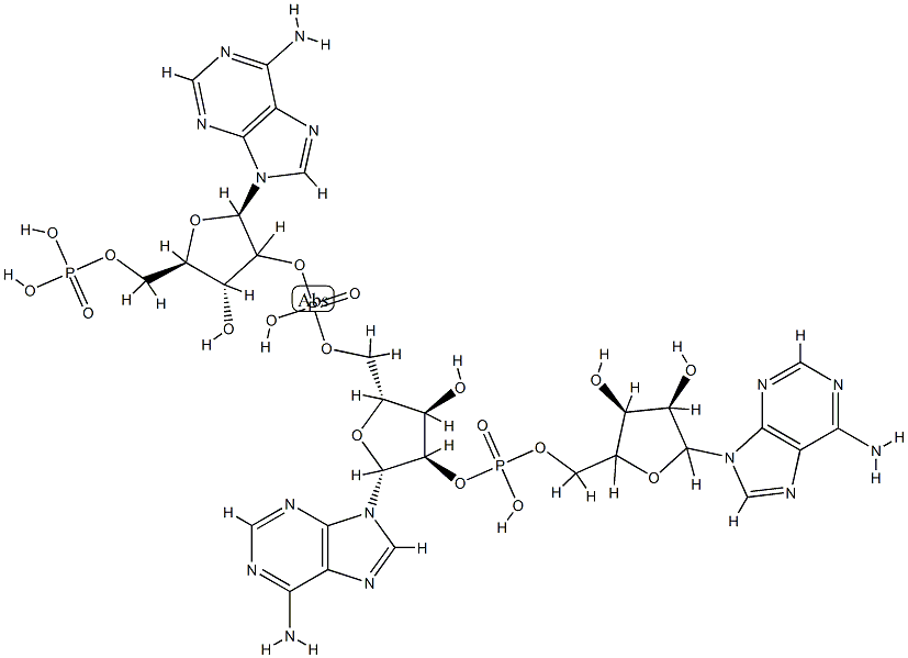 2',5'-oligoadenylate,61172-40-5,结构式