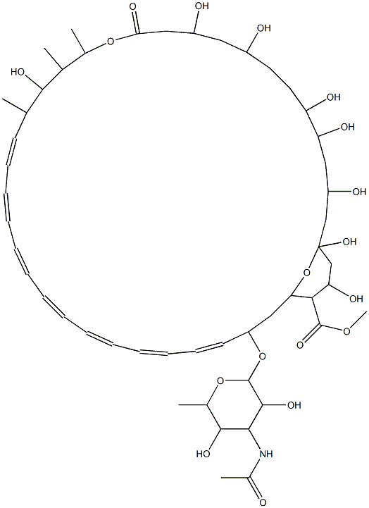 N-Acetylamphotericin B methyl ester Structure