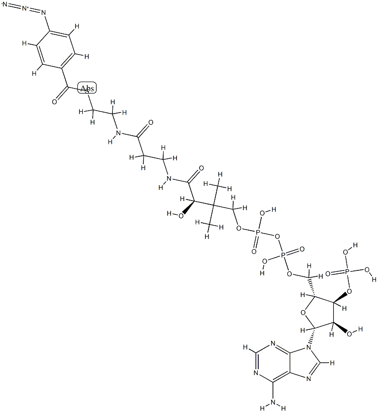 4-azidobenzoyl-coenzyme A Struktur