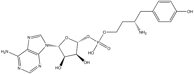 tyrosinyl-5'-AMP Structure
