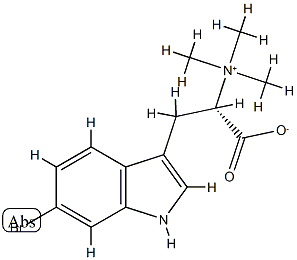 L-6-bromohypaporphine Struktur