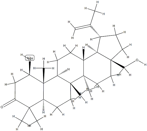 1β,28-Dihydroxylup-20(29)-en-3-one Struktur