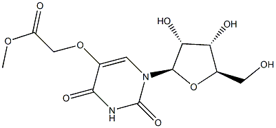 Uridine-5-oxyacetic acid methyl ester Struktur