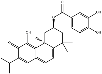 3,4-ジヒドロキシ安息香酸[(3S)-1,2,3,4,4a,6-ヘキサヒドロ-5-ヒドロキシ-1,1,4aβ-トリメチル-7-イソプロピル-6-オキソフェナントレン-3α-イル] 化学構造式