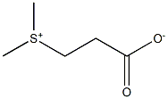 DIMETHYL-PROPIOTHETIN Struktur