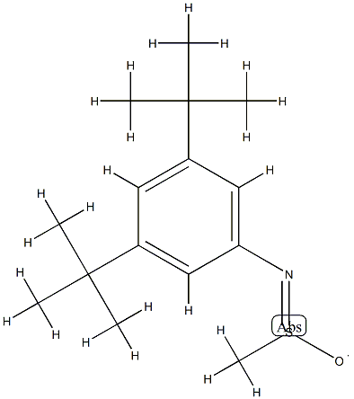 N-(3,5-Di-tert-butylphenyl)methanesulfinamido radical|