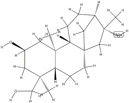 (4S)-カウラン-2β,16,19-トリオール 化学構造式
