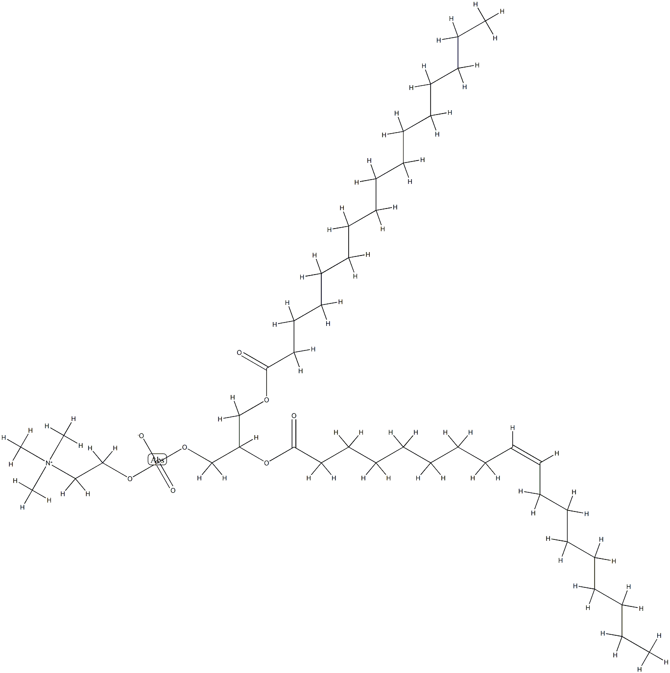 1-palmitoyl-2-oleoylphosphatidylcholine Struktur