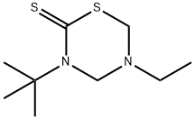 2H-1,3,5-Thiadiazine-2-thione,3-(1,1-dimethylethyl)-5-ethyltetrahydro-(9CI) Struktur