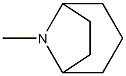 8-Azabicyclo[3.2.1]octane,8-methyl-,(8-anti)-(9CI) Structure