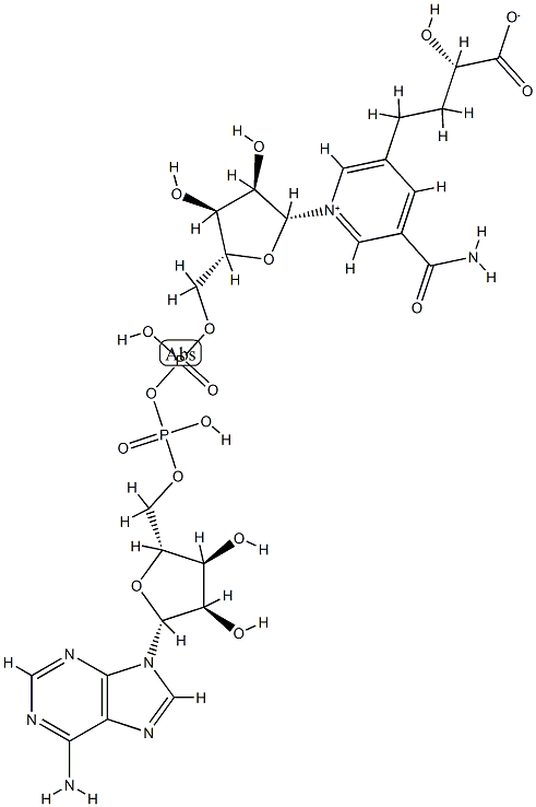 5-(3-carboxy-3-hydroxypropyl)nicotinamide adenine dinucleotide Struktur
