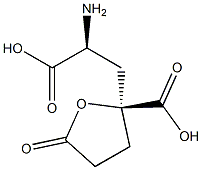 (2S)-2-アミノ-3-[(2S)-2-カルボキシ-5-オキソテトラヒドロフラン-2-イル]プロピオン酸 化学構造式