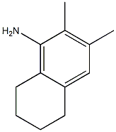 1-Naphthylamine,5,6,7,8-tetrahydro-2,3-dimethyl-(4CI) 结构式