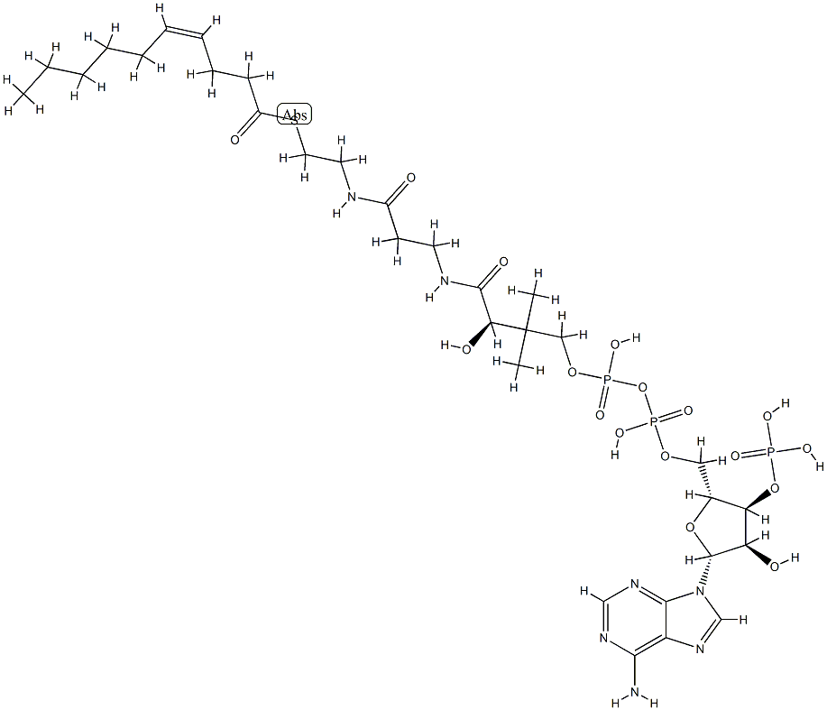 4-cis-Decenoyl-CoA Structure