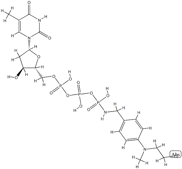 4-(N-(2-chloroethyl)-N-methylamino)benzyl-gamma-amide dTTP Struktur