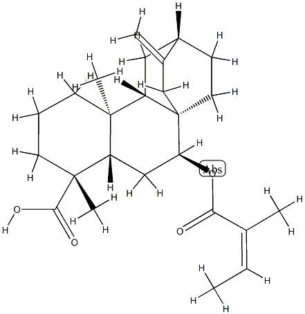 69842-20-2 (4R,5β,8α,9β,10α,12α)-7β-[[(Z)-2-Methyl-1-oxo-2-butenyl]oxy]atis-16-en-18-oic acid
