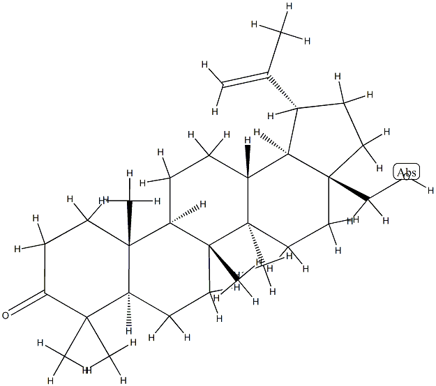 Betulone Structure