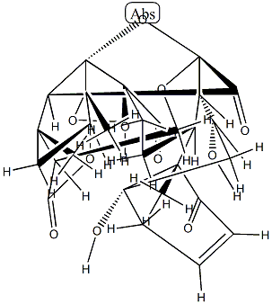 physaline Struktur