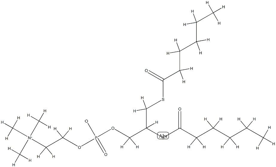 1,2-hexanoylthiophosphotidylcholine Struktur