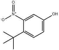 4-tert-butyl-3-nitrophenol Struktur