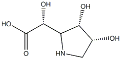 2-Pyrrolidineaceticacid,-alpha-,3,4-trihydroxy-,[2R-[2-alpha-(S*),3-bta-,4-bta-]]-(9CI) Structure