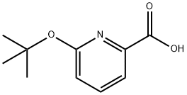 2-Pyridinecarboxylicacid,6-(1,1-dimethylethoxy)-(9CI) Struktur