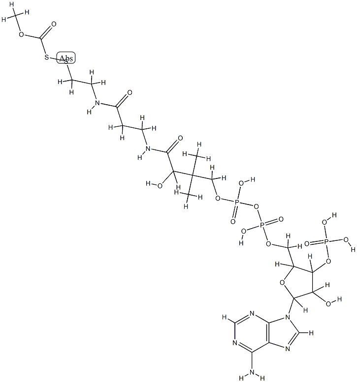 methoxycarbonyl-coenzyme A disulfide Structure