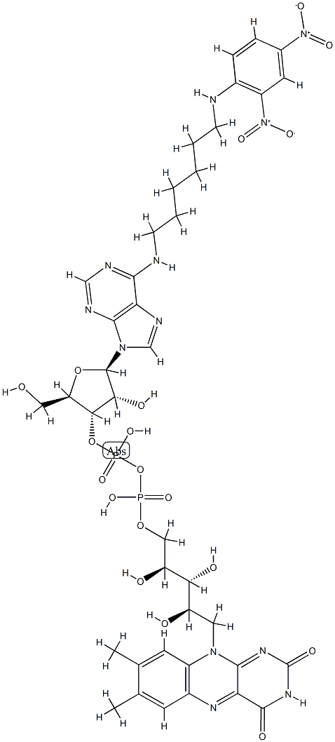 flavin N(6)-(N'-2,4-dinitrophenyl-6-aminohexyl)adenine Structure