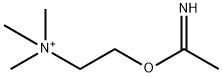 (2-acetimidoxy)ethyltrimethylammonium Structure