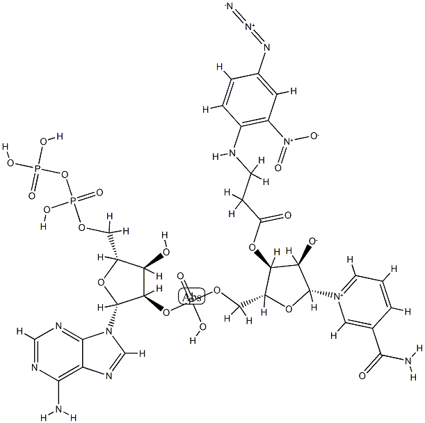 arylazido-beta-alanyl-NADP Structure
