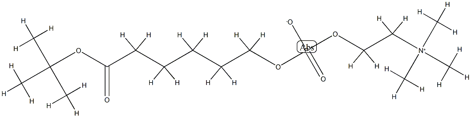 tert-Butyl 6-(O-Phosphorylcholine)hydroxyhexanoate, 73839-23-3, 结构式