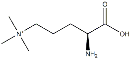 poly(N(delta),N(delta),N(delta)-trimethylornithine)|