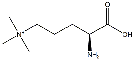73970-11-3 poly(N(delta),N(delta),N(delta)-trimethylornithine)