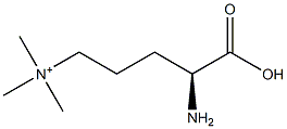 poly(N(delta),N(delta),N(delta)-trimethylornithine) Structure