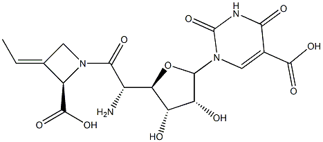 1-[5-Amino-6-[(2S,E)-2-carboxy-3-ethylidene-1-azetidinyl]-5-deoxy-β-D-allo-hexodialdo-1,4-furanosyl]-1,2,3,4-tetrahydro-2,4-dioxo-5-pyrimidinecarboxylic acid Struktur