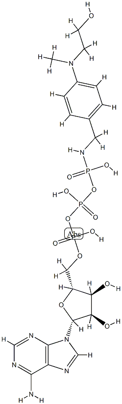 ATP gamma-(4-(N-(2-hydroxyethyl)-N-methylamino)benzylamide) Structure