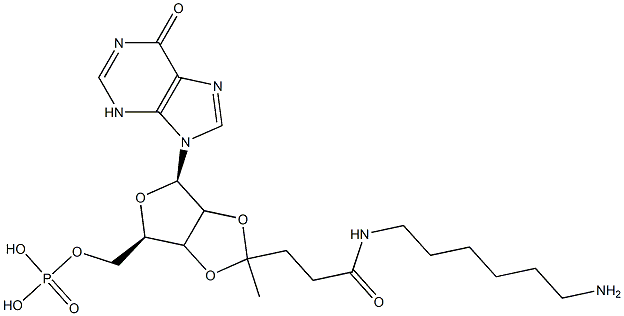 inosine 2',3'-O-(1-(6-aminohexyl)levulinic acid amide)acetal 5'-monophosphate Structure