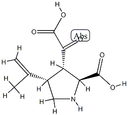alpha-ketokainic acid Structure