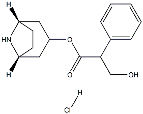 Noratropine Hydrochloride, 75559-01-2, 结构式