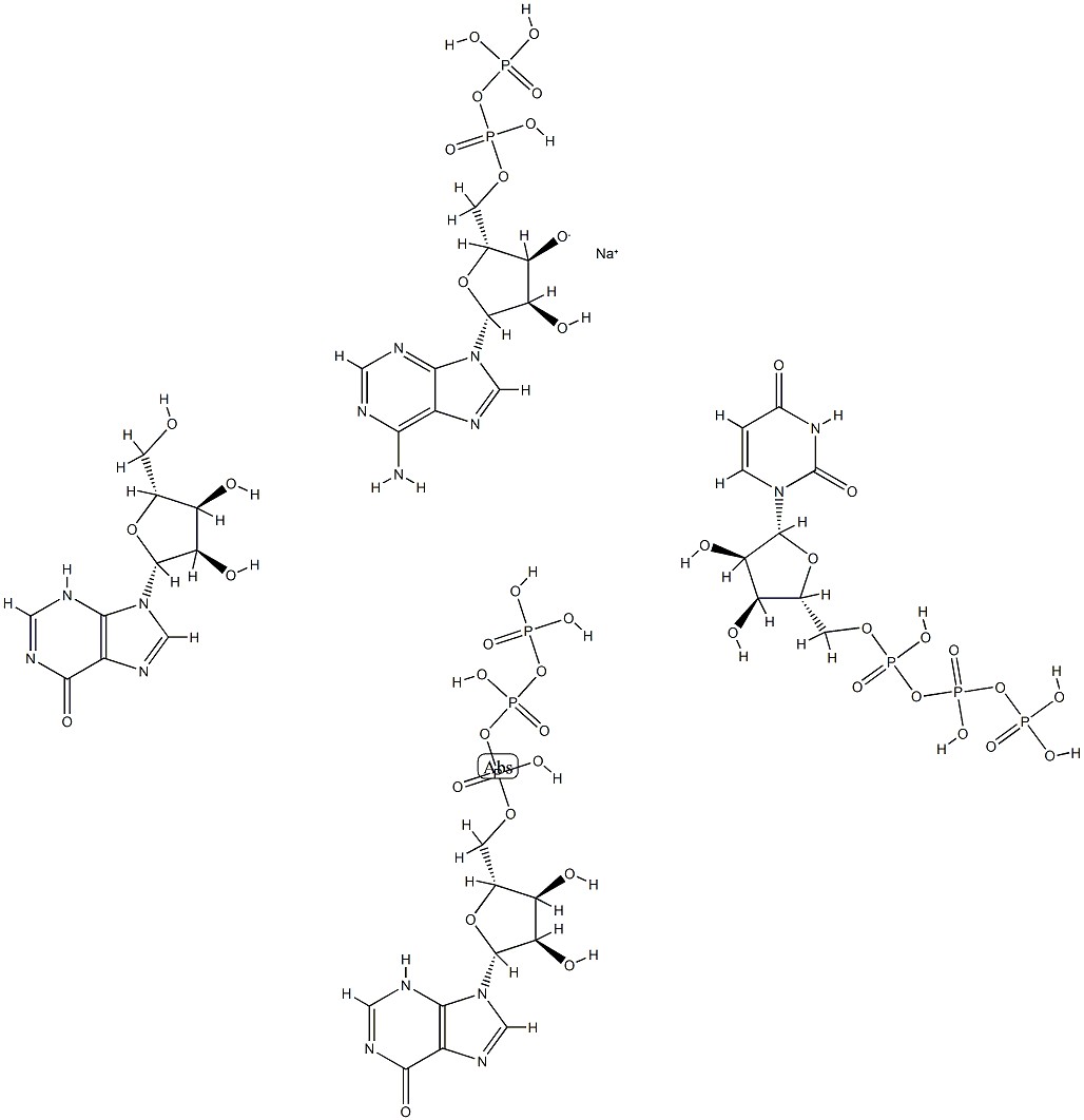sodium, (2R,3R,4R,5R)-5-(6-aminopurin-9-yl)-4-hydroxy-2-[(hydroxy-phos phonooxy-phosphoryl)oxymethyl]oxolan-3-olate, 9-[(2R,3R,4R,5R)-3,4-dih ydroxy-5-(hydroxymethyl)oxolan-2-yl]-3H-purin-6-one, [[[(2R,3R,4R,5R)- 3,4-dihydroxy-5-(6-oxo-3H-purin-9-yl)oxolan-2-yl]methoxy-hydroxy-phosp horyl]oxy-hydroxy-phosphoryl]oxyphosphonic acid, [[[(2R,3R,4R,5R)-5-(2 ,4-dioxopyrimidin-1-yl)-3,4-dihydroxy-oxolan-2-yl]methoxy-hydroxy-phos phoryl]oxy-hydroxy-phosphoryl]oxyphosphonic acid Struktur