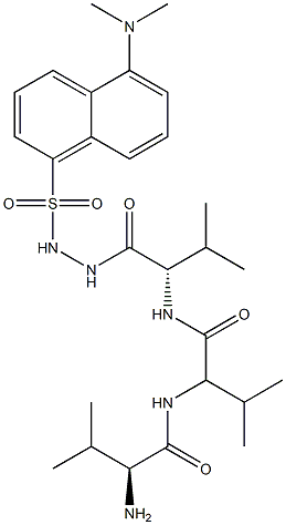 dansylhydrazide trivaline Struktur