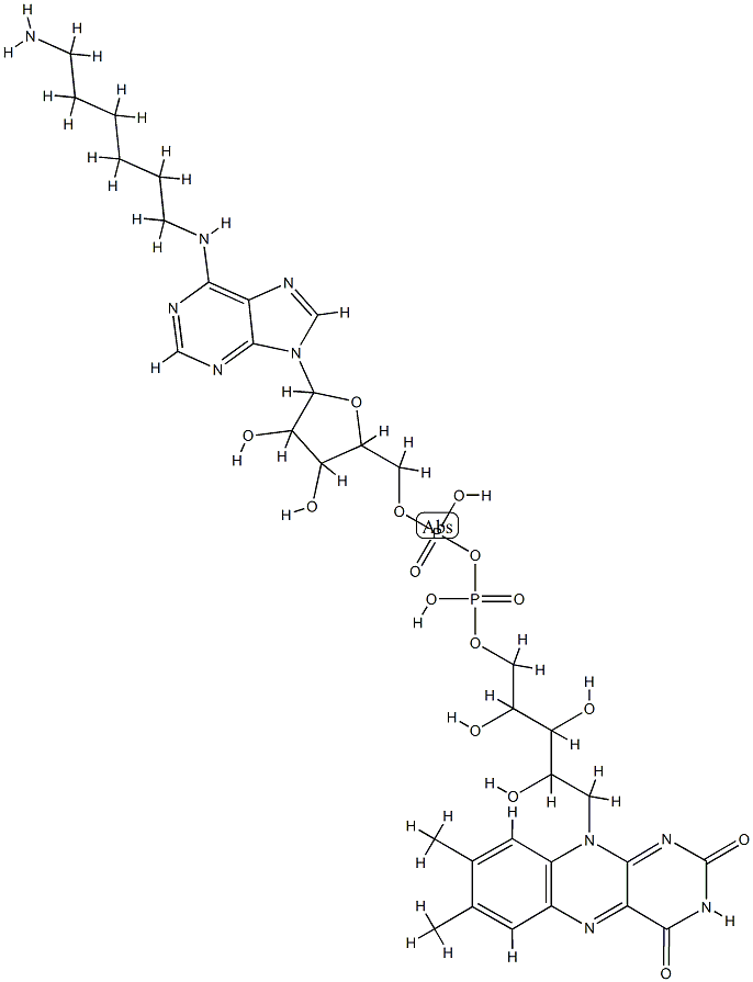 N(6)-aminohexyl-flavin adenine dinucleotide Structure